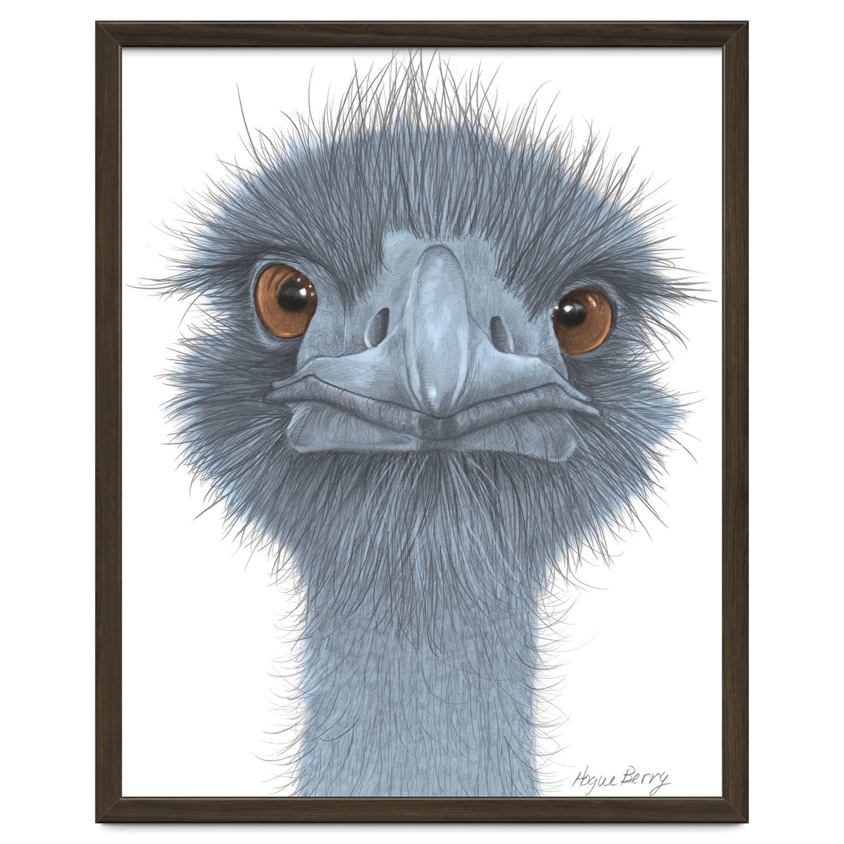 The Blue Emu