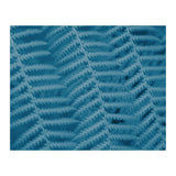 Pteridopsida 3 (Print Only) thumbnail