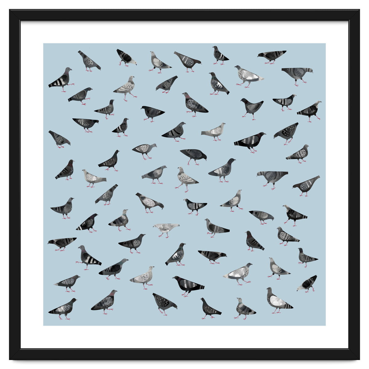 Pigeons Doing Pigeon Things