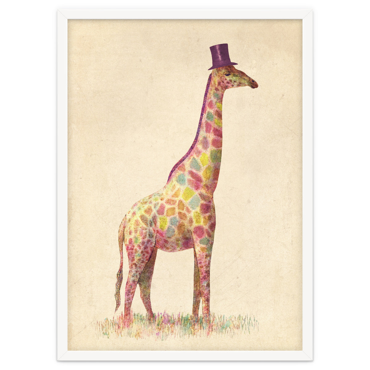 Fashionable Giraffe