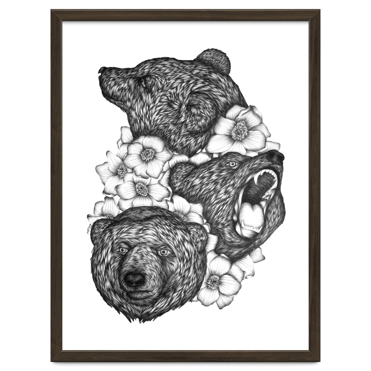 Bears In Bears