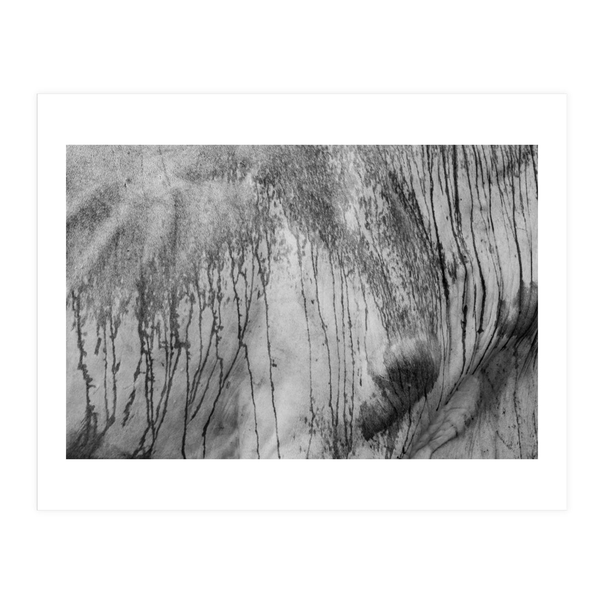 Abstract #2 (Print Only)