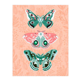 Lepidoptery No. 3 (Print Only) thumbnail