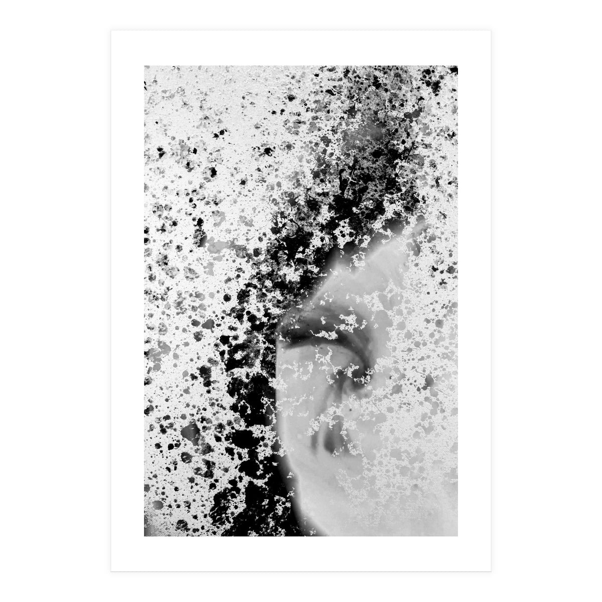 Prisma Black  (Print Only)