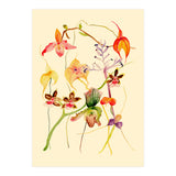 Orchids #1 (Print Only) thumbnail