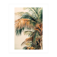 Tropic Summer  (Print Only)