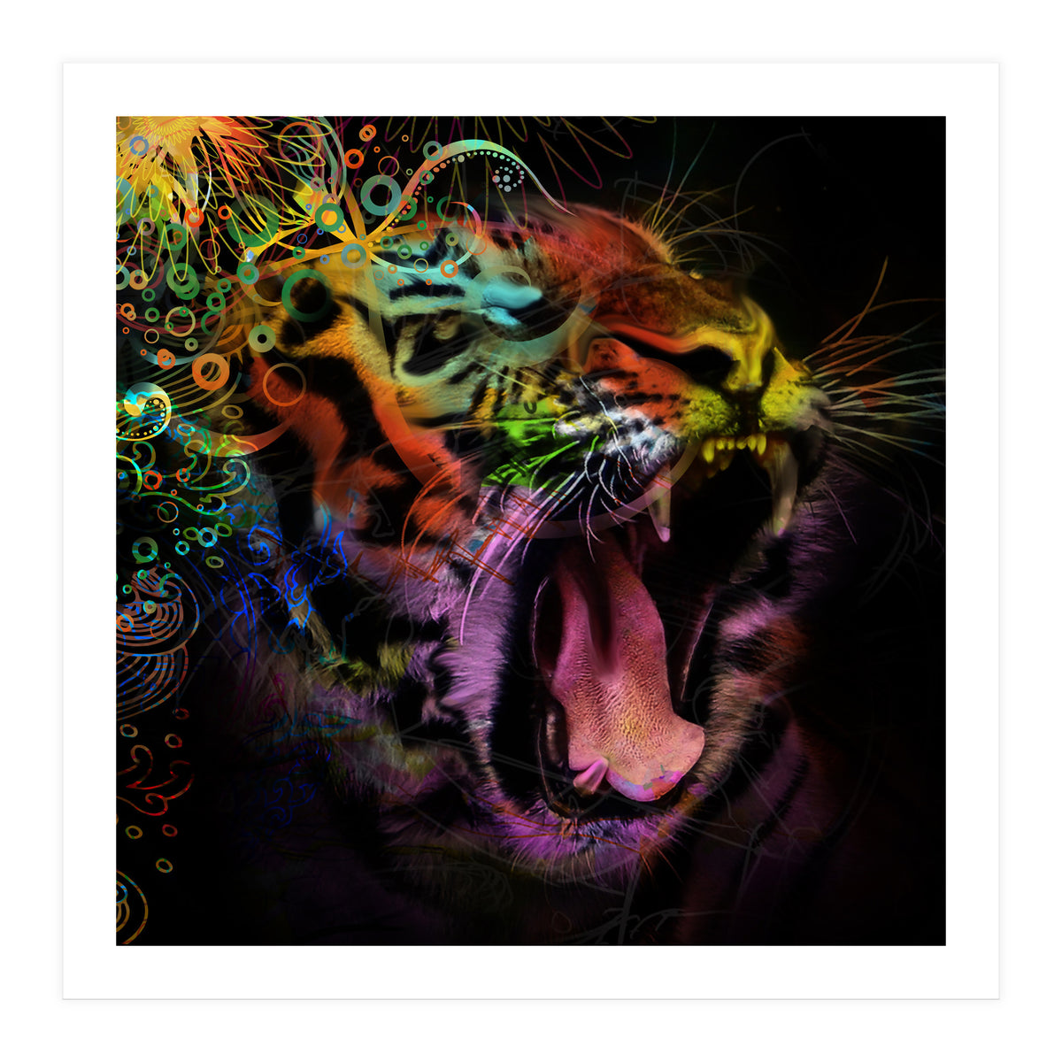 Tiger5 (Print Only)