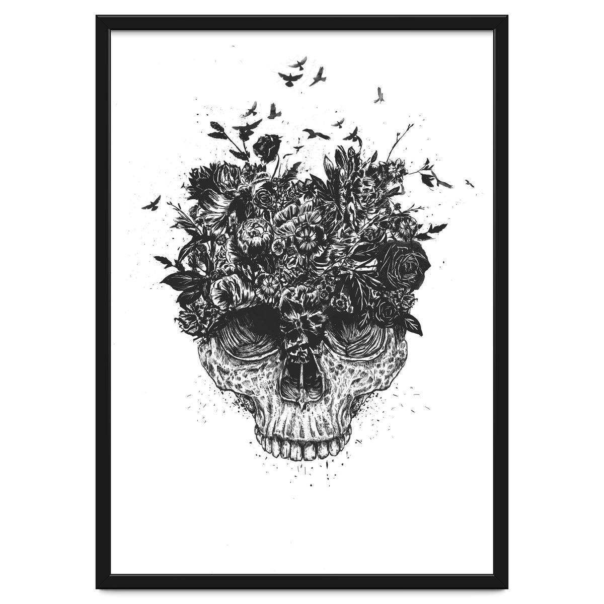 My Head Is A Jungle Bw