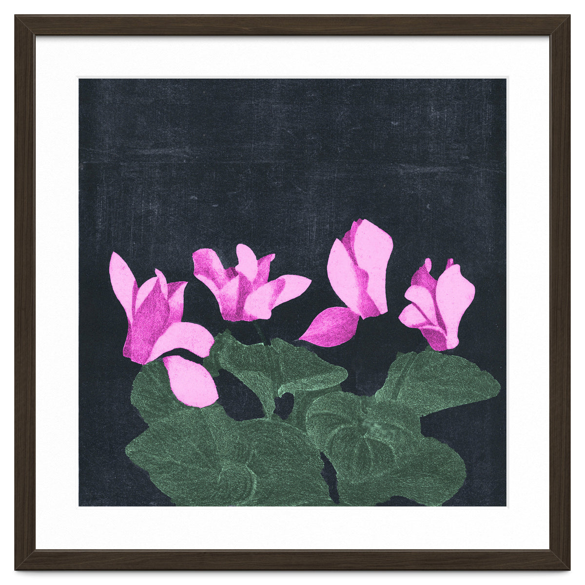 Cyclamen