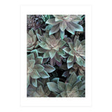 18 (Print Only) thumbnail