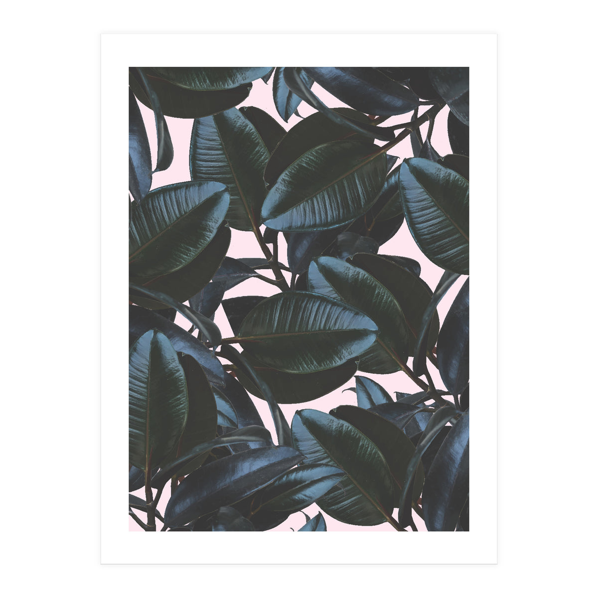 Charming Impression (Print Only)