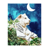 Moonbath (Print Only) thumbnail