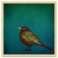 Camouflage: The Blackbird