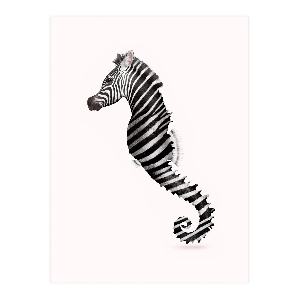 Zeahorse (Print Only)