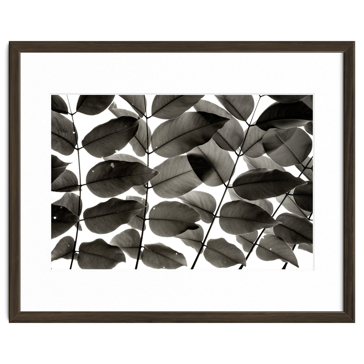 Branches and Leaves I