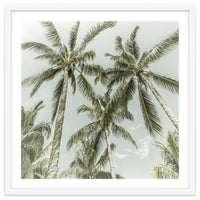 Lovely Palm Trees | Vintage