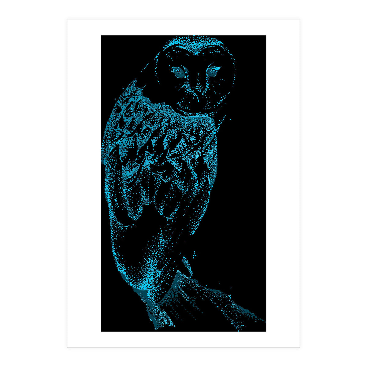 Teal Barn Owl (Print Only)