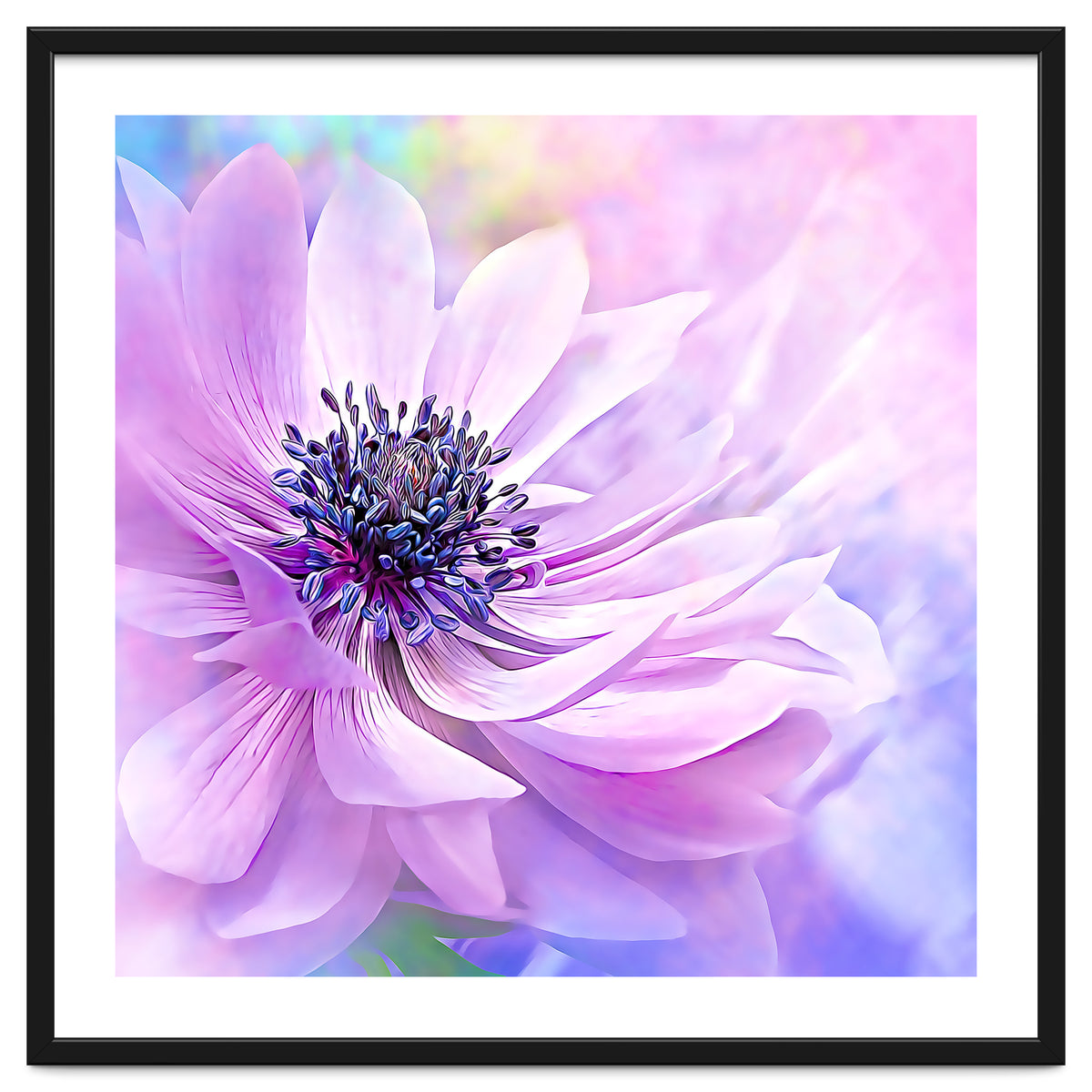 Wispy Purple Anemone