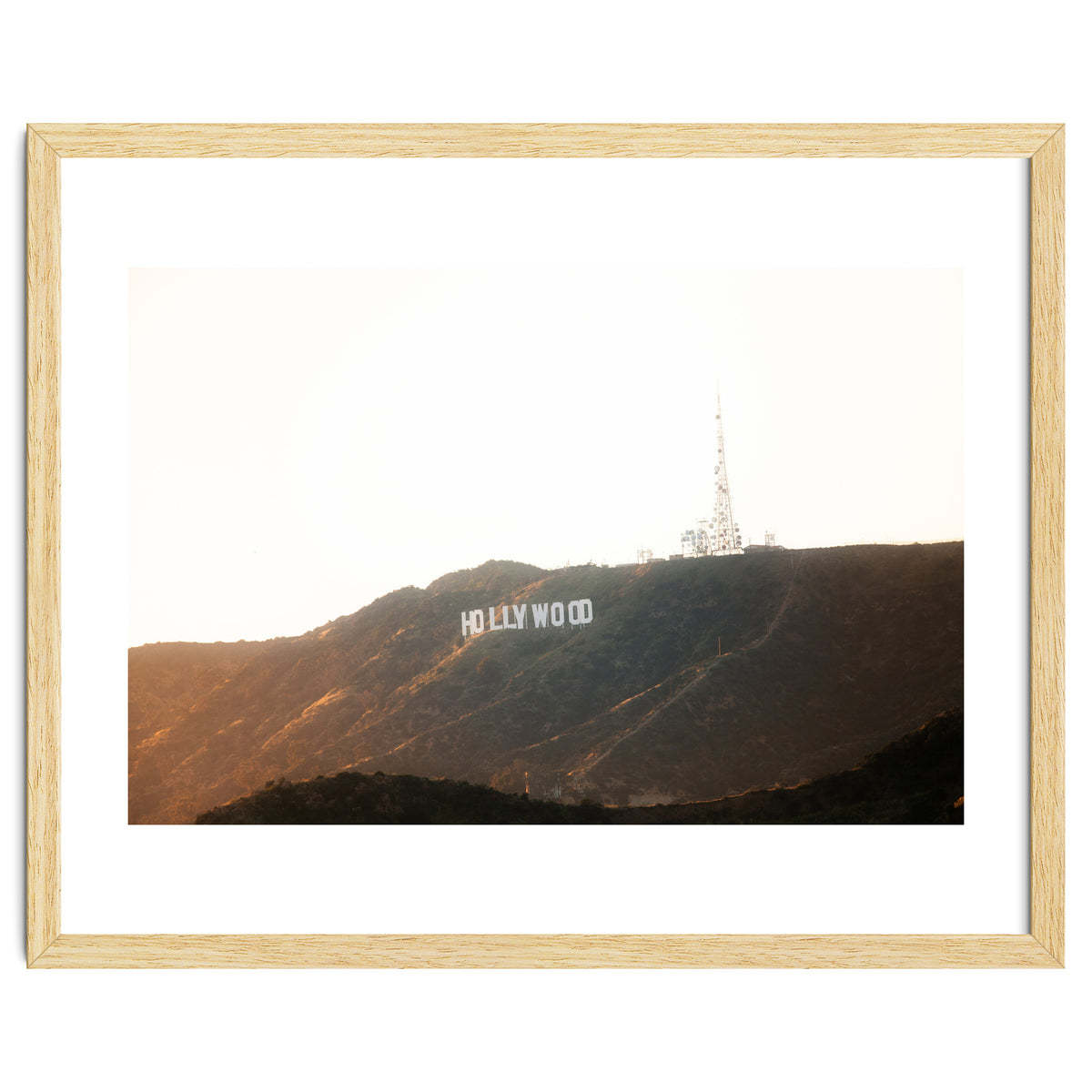 Hollywood Gold x Hollywood Sign California