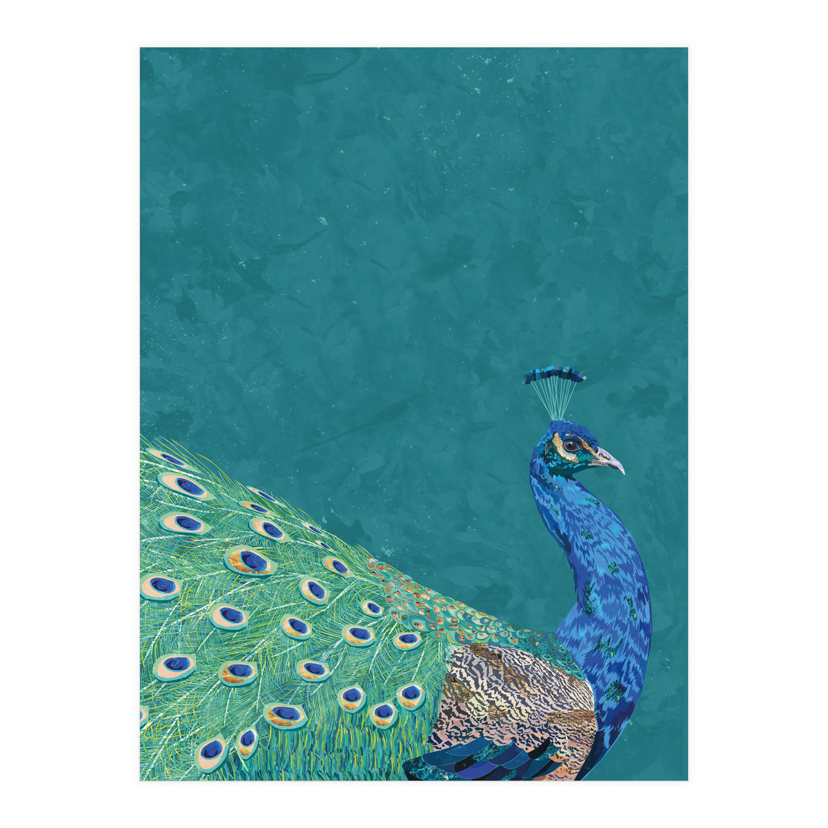 Perfect Peacock Turquoise Portrait (Print Only)