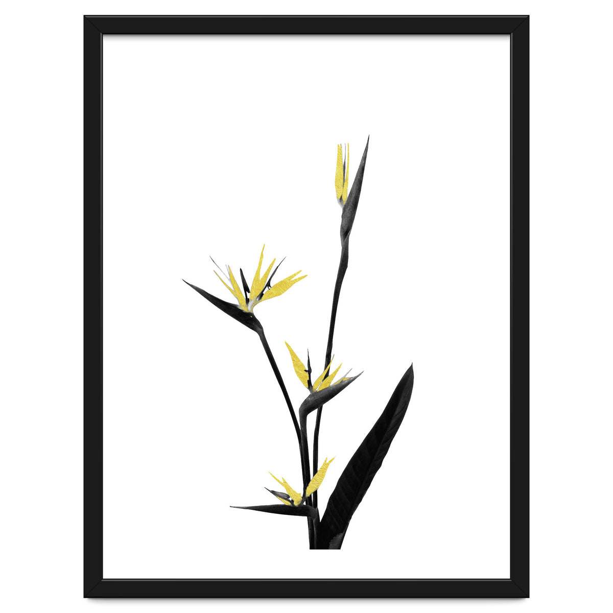 Flower Minimal Black And Gold 05