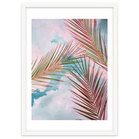 Palms + Sky