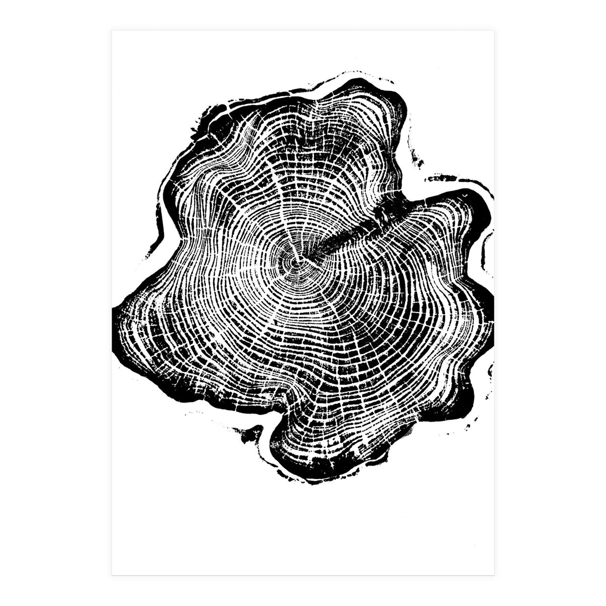 Alaskan Cypress, Tree Ring Art Print, Woodblock (Print Only)