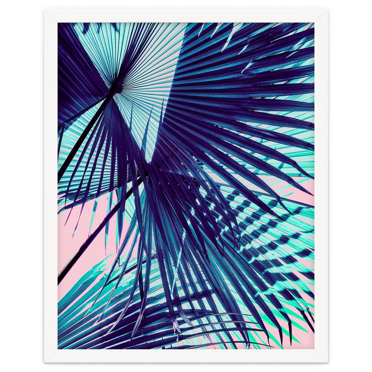 Palm leaf on the beach