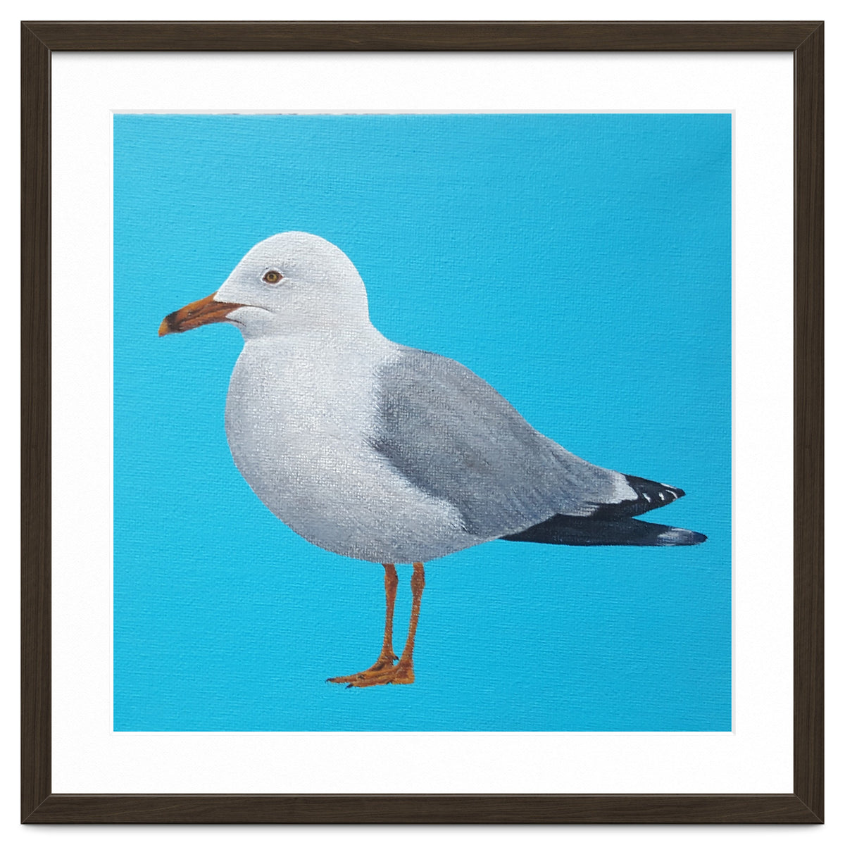 Seagull