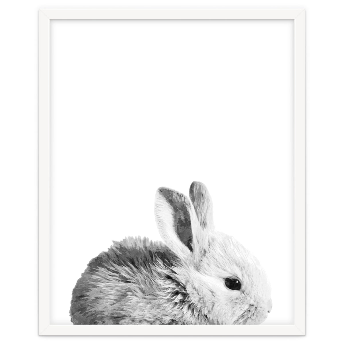 Black and White Bunny Portrait