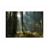 Reidholz (Print Only) thumbnail