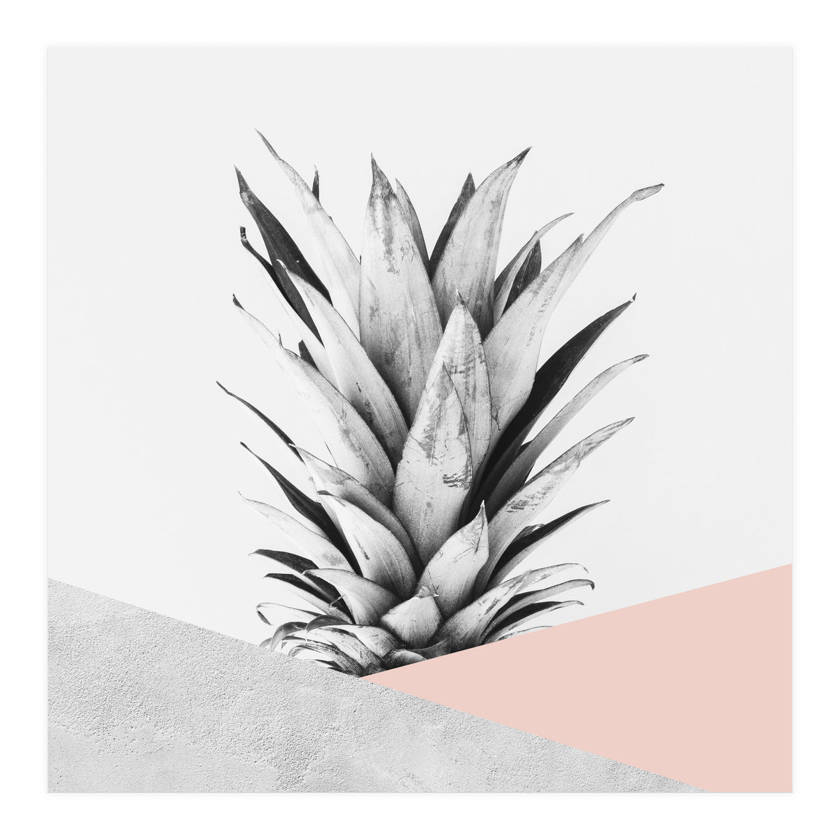 Scandinavian pineapple II (Print Only)
