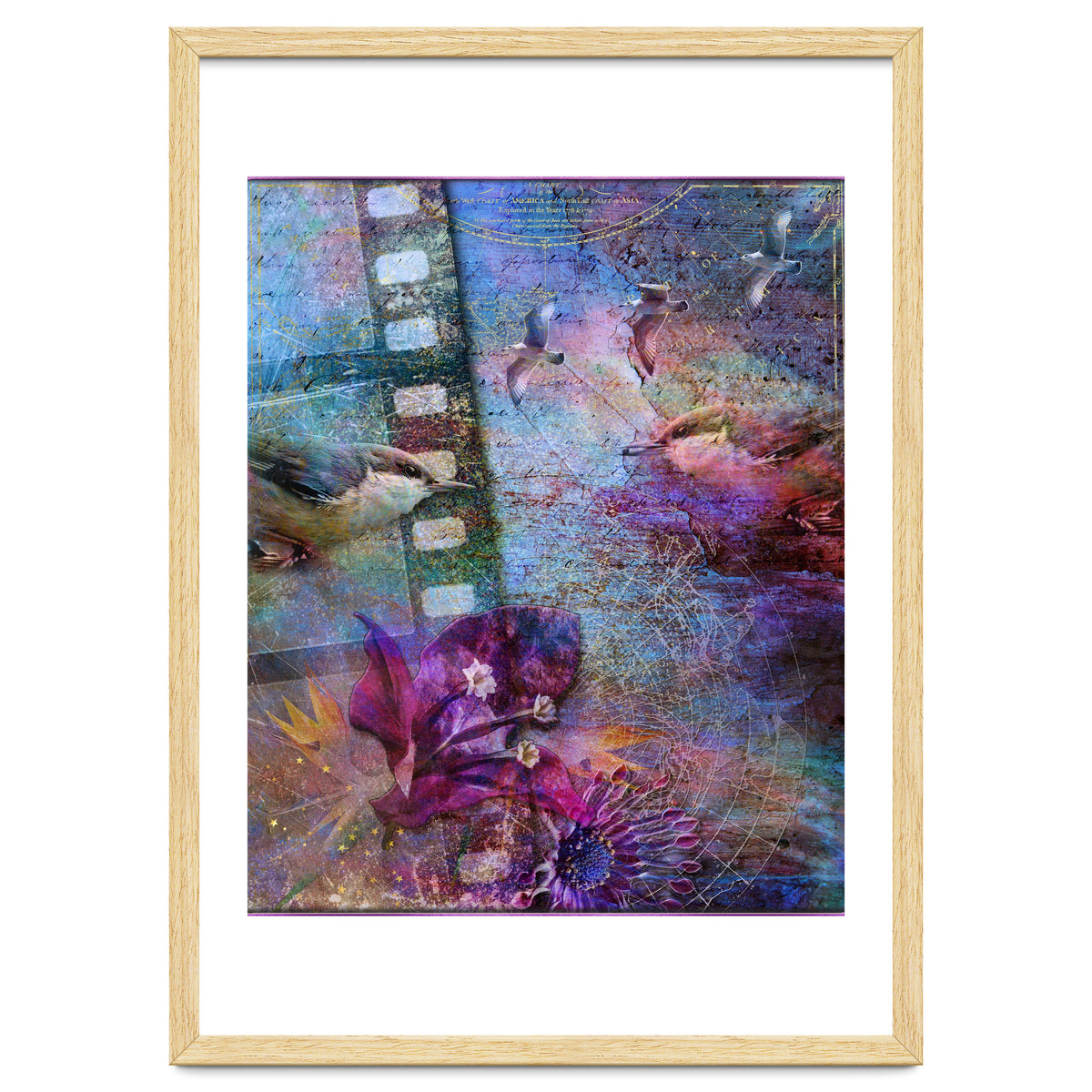 Watching the Wild World