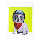 Easy Rider Dog (Print Only) thumbnail