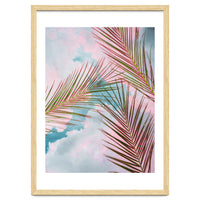 Palms + Sky