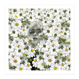 May The Days Be Aimless (Print Only) thumbnail