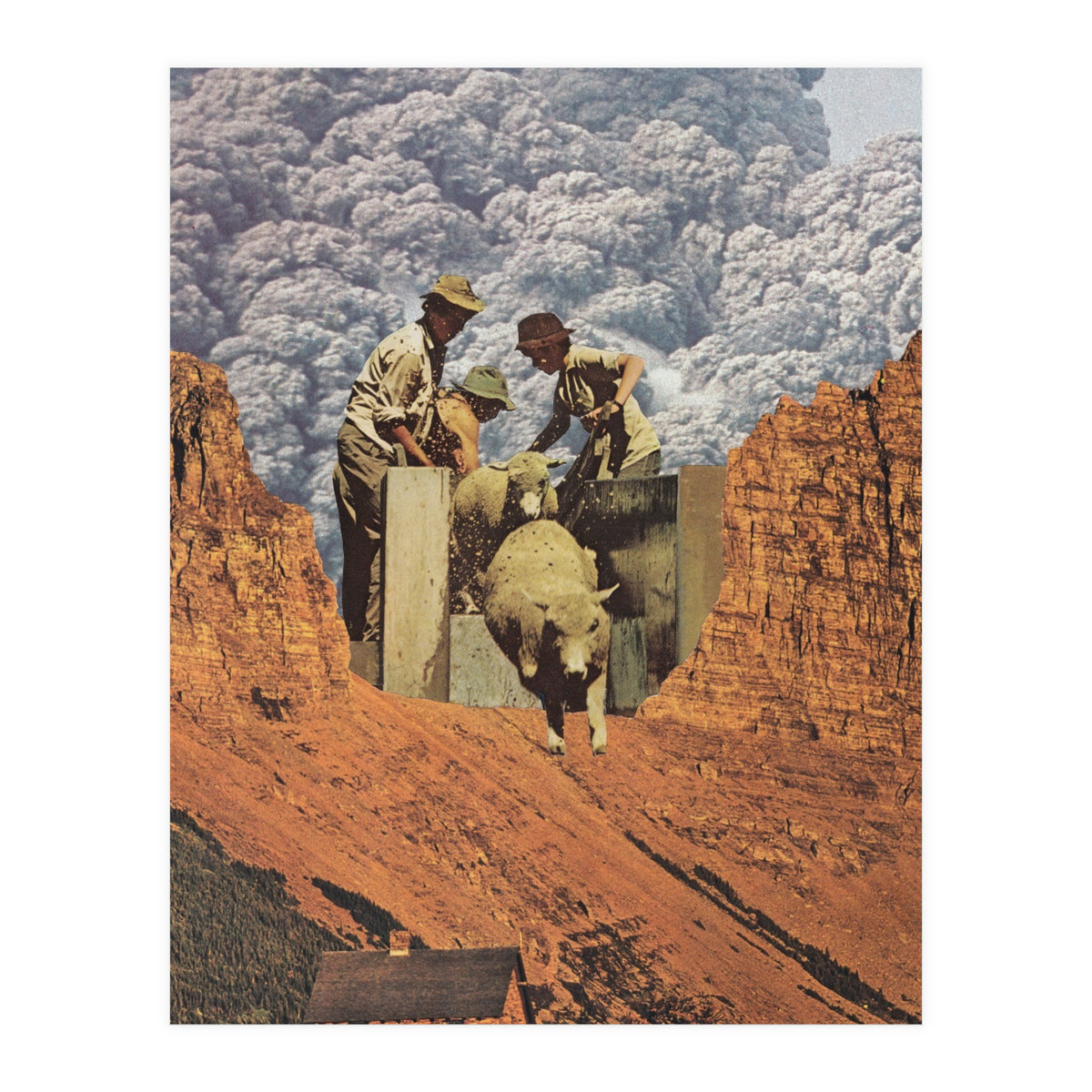 Dirty Sheep (Print Only)