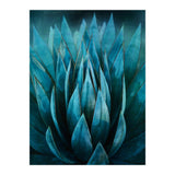 Blue Succulent (Print Only) thumbnail