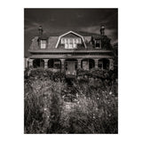 No 1444 Queen St E 2 (Print Only) thumbnail