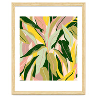 Tropical Matisse Houseplant