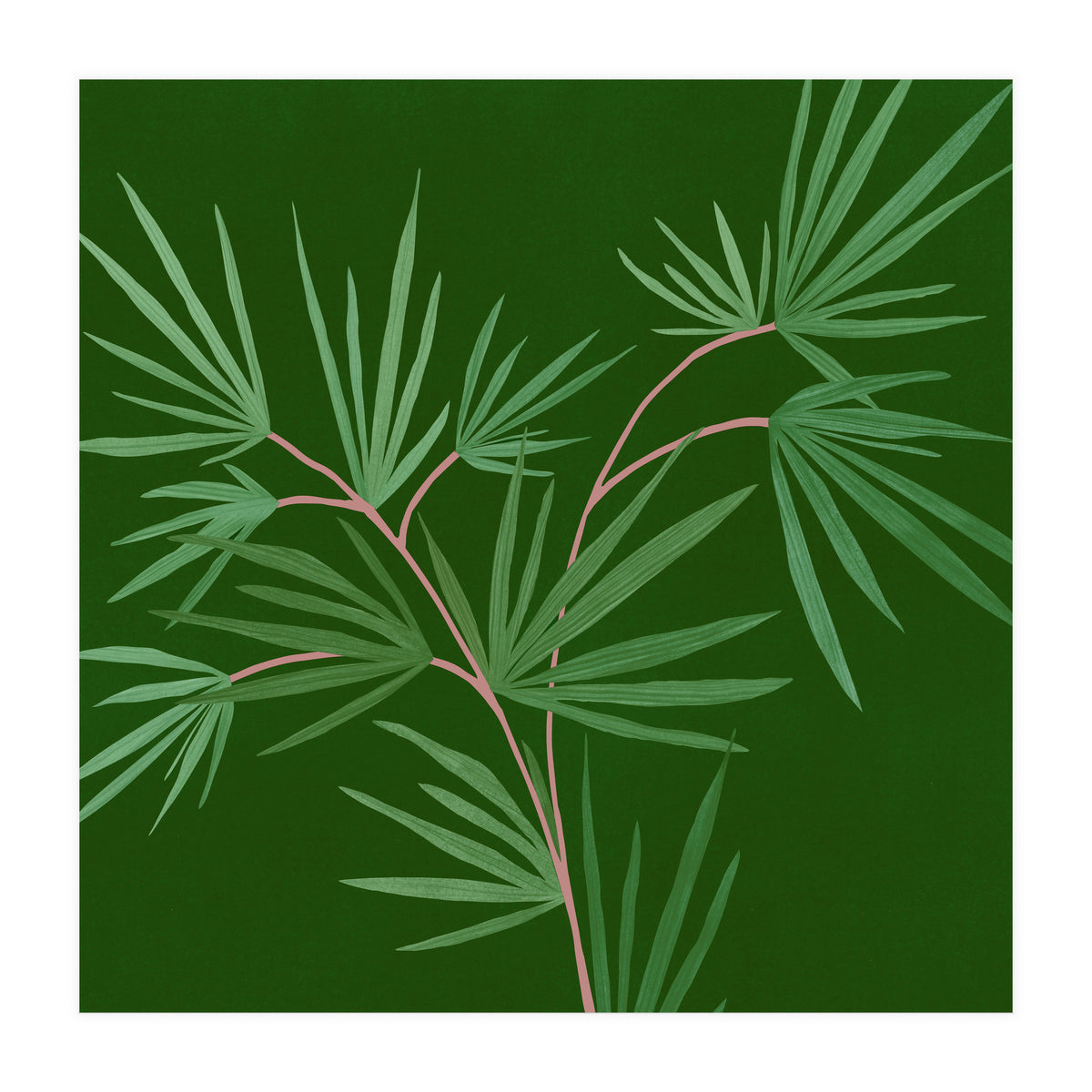 Abstract Palm (Print Only)