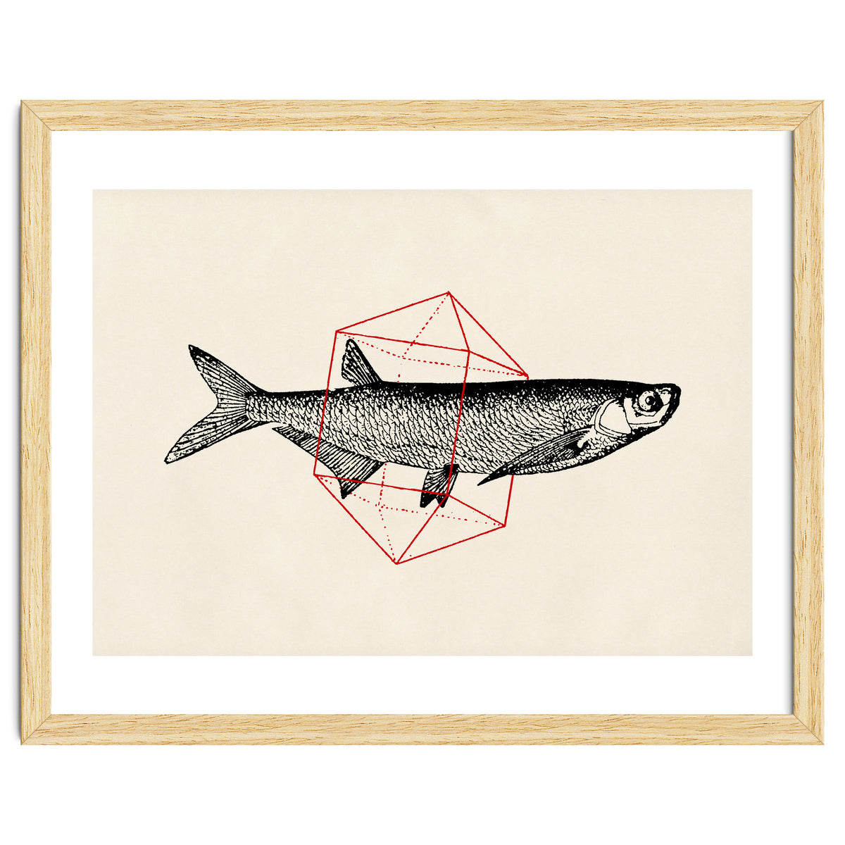 Fish In Geometrics II
