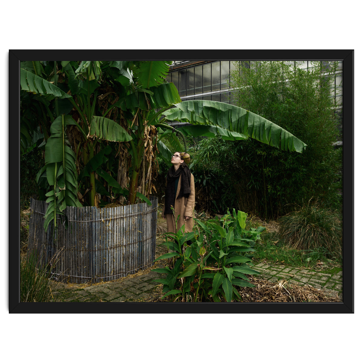 Transition from Summer to Winter