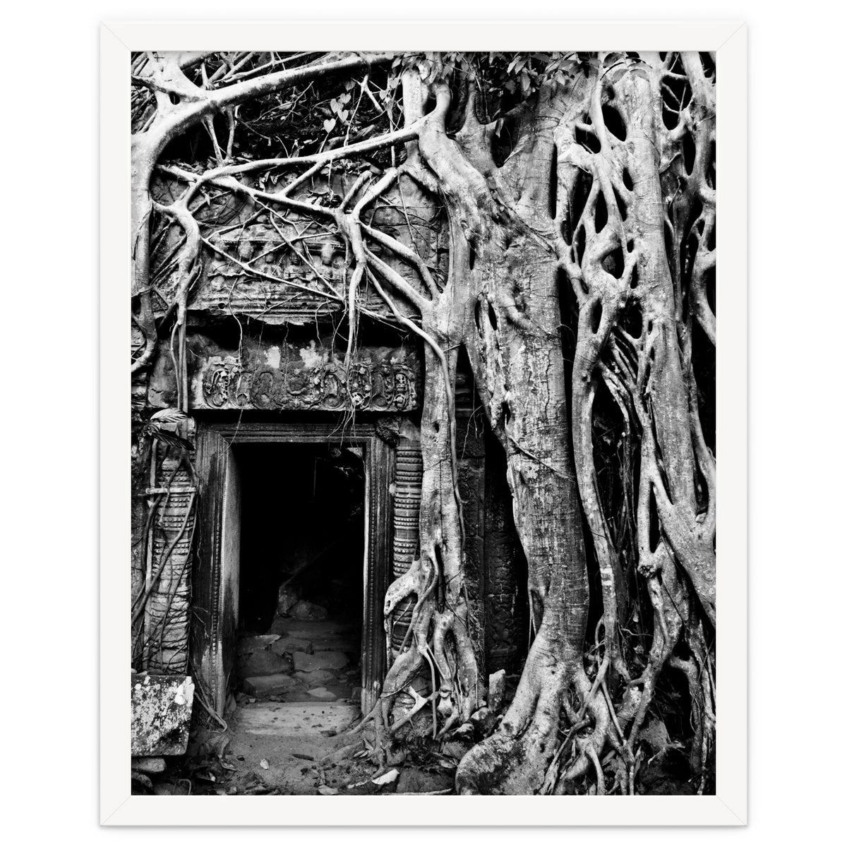 Ta Prohm Temple, Cambodia