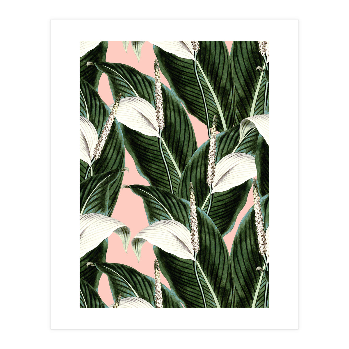 Sweet floral Pothos (Print Only)