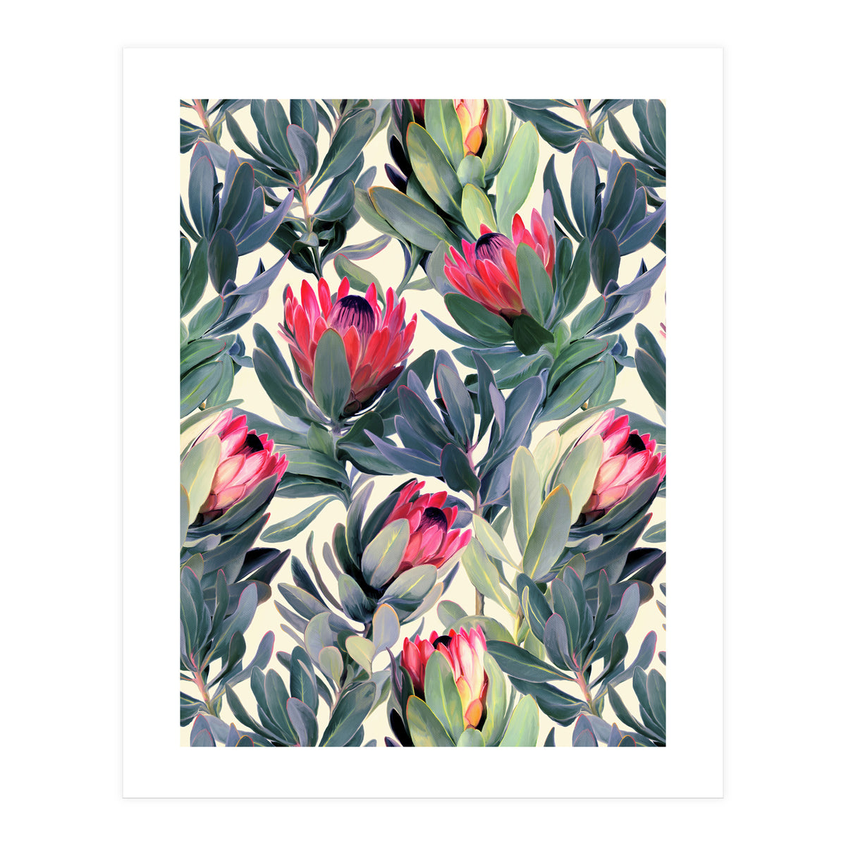 Painted Protea Pattern (Print Only)