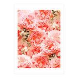 Fiona II (Print Only) thumbnail