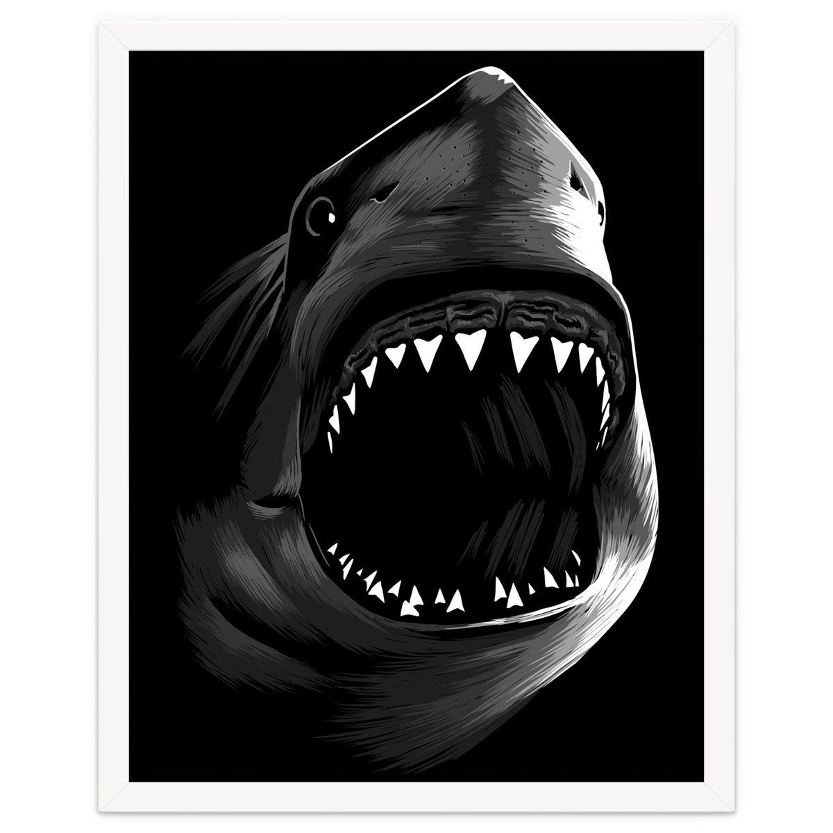 Megalodon