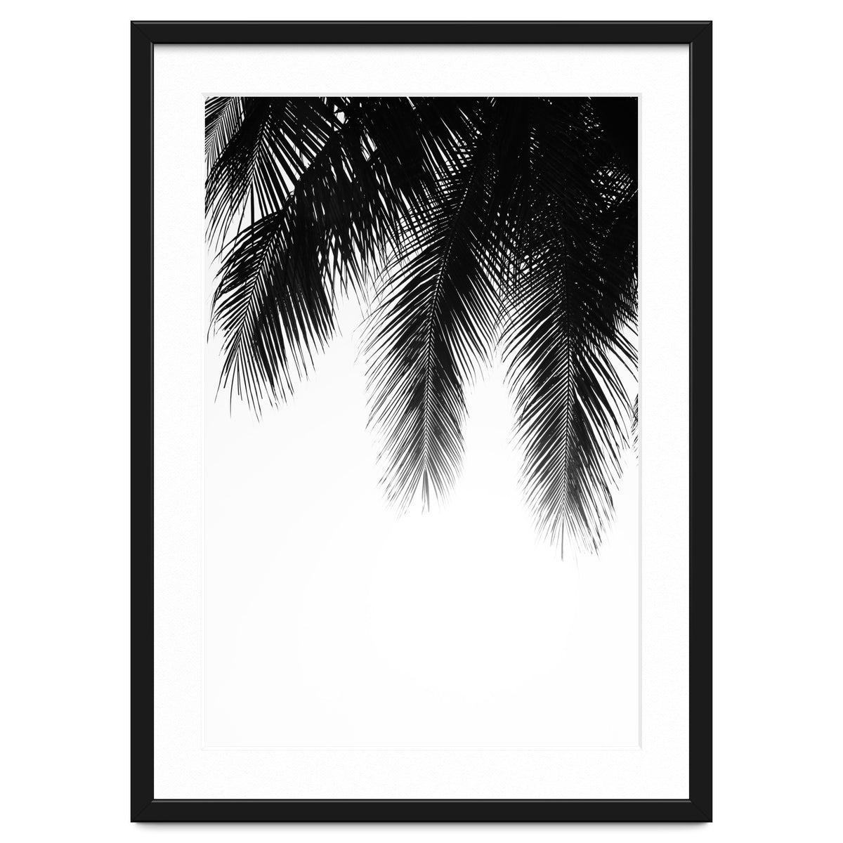 Palm leaves