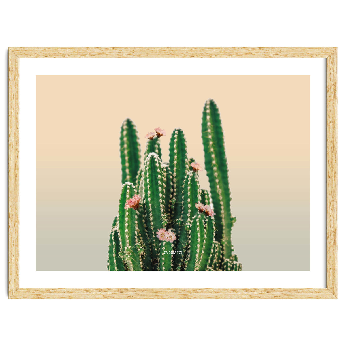 Flowered Cactus